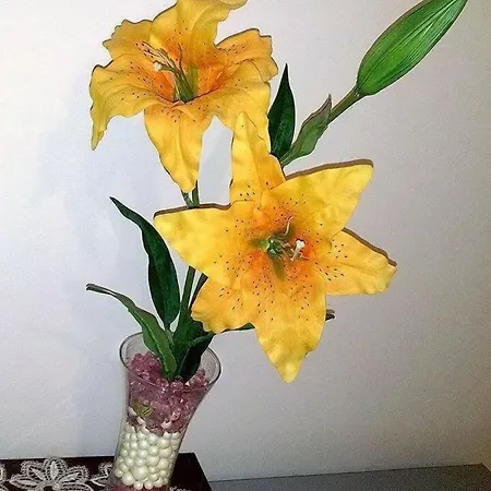 La Cornucopia Gallipolli