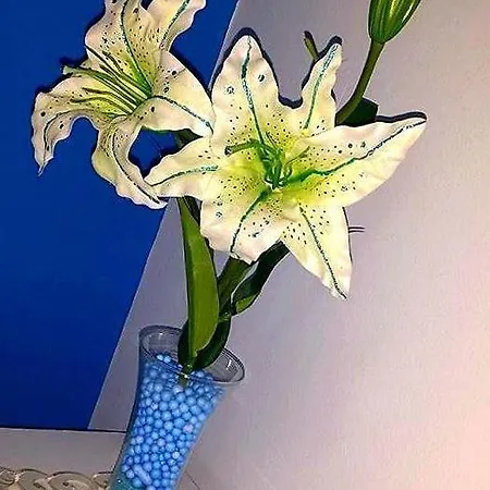 Couette-café La Cornucopia